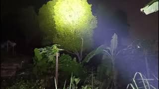 Tumbang Gara-Gara Di Ganggu Jin Pohon Keramat Goa Siluman