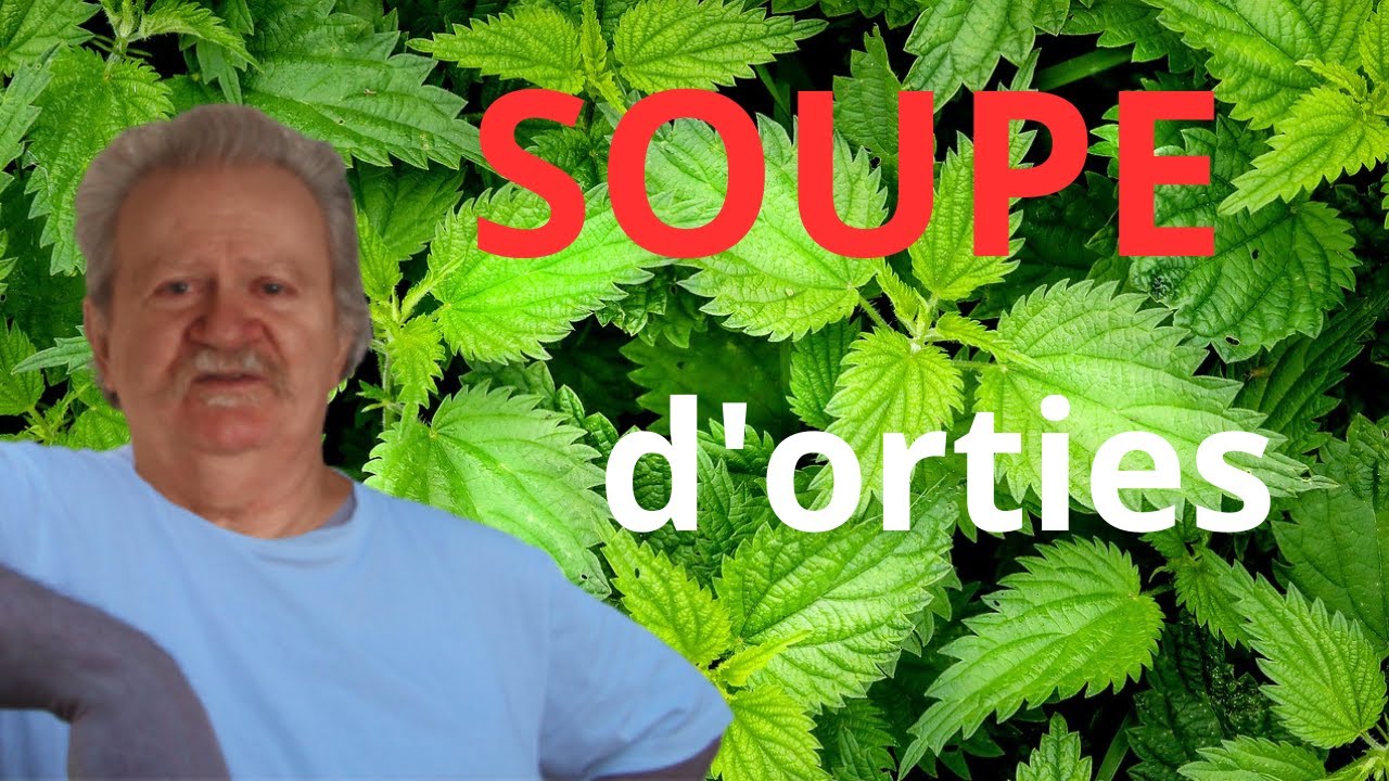 SOUPE D'ORTIES