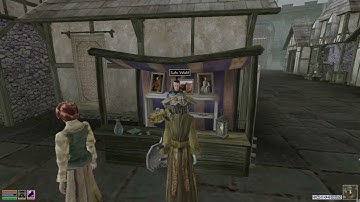 Talky Morrowind + Tamriel Rebuilt - Mainland Mages Guild - Lady’s Mantle