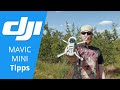 DJI Mavic Mini Tipps - Wo darf ich fliegen - Bevor du kaufst - Kalibrieren - Apps - Videobrille