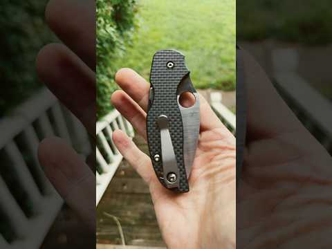 Spyderco Sage 5.