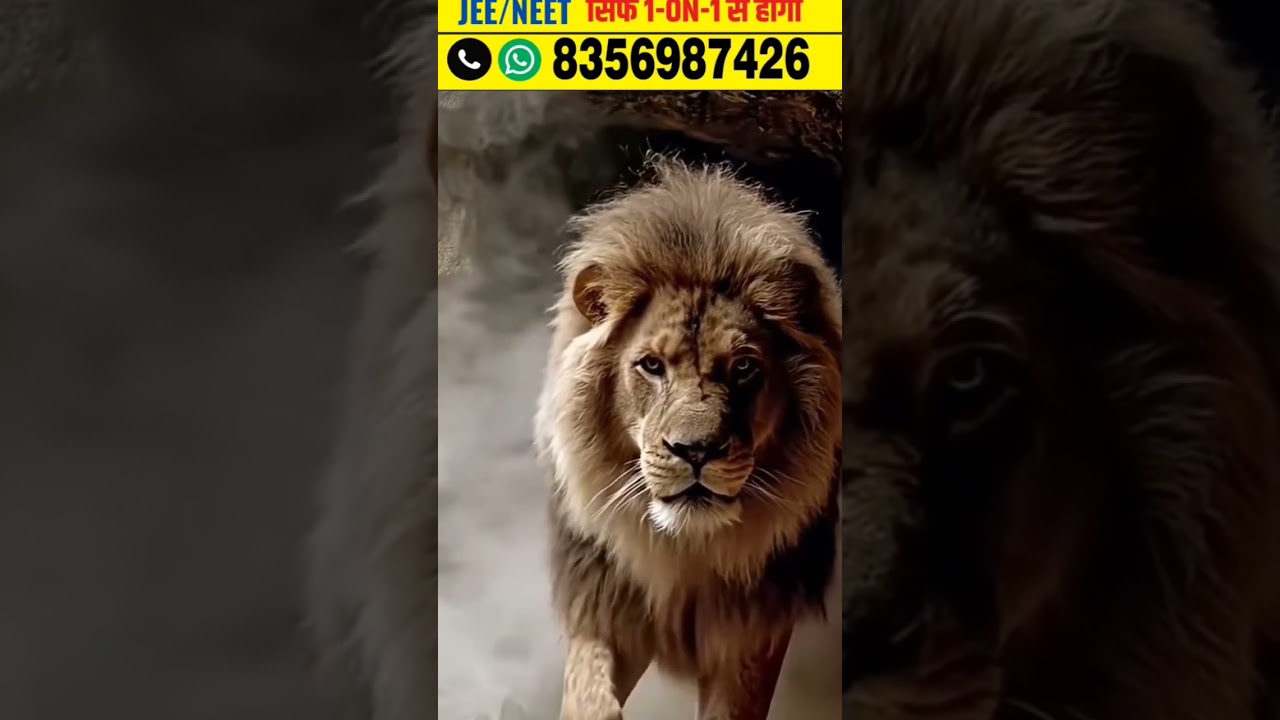 #SouthBombayTuitions