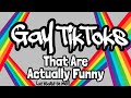 Gay TikToks That Are Actually Funny (at least to me!) PART 4! (LGBT)