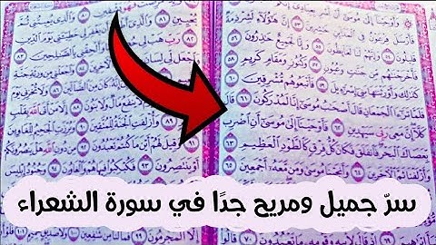 سرّ جميل ومريح جدًا للقلوب في سورة الشعراء 🟥✅