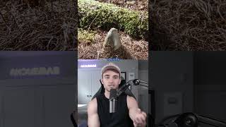 How A Mushroom Grows screenshot 2