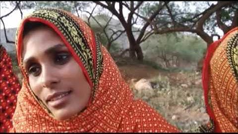 Eritrean Bilen Music- "Tereza "  By Melekin Atombis |Official Video-2017|