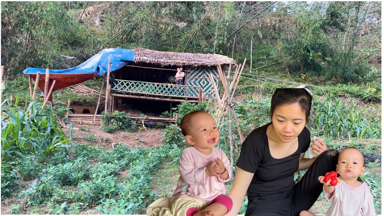 Single mother and rural life: repair the bamboo house, receive a ...
