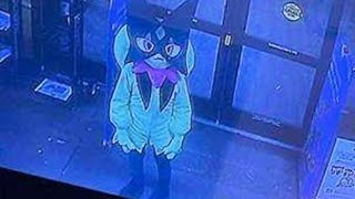 Start Running. r/furry_irl