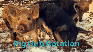 Pasture Pig Hub Rotation Pork Rotational Grazing