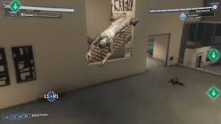 Black Cat Is Hot Dlc