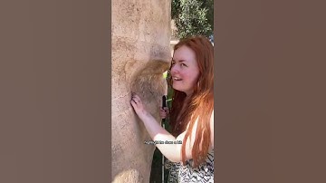 Thumbnail of Why feeling faces is good as a blind woman