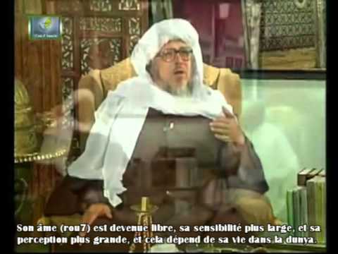 La vie intermdiaire des mes part 14   Sheikh Muhammad Sayyid al Alawi al Maliki