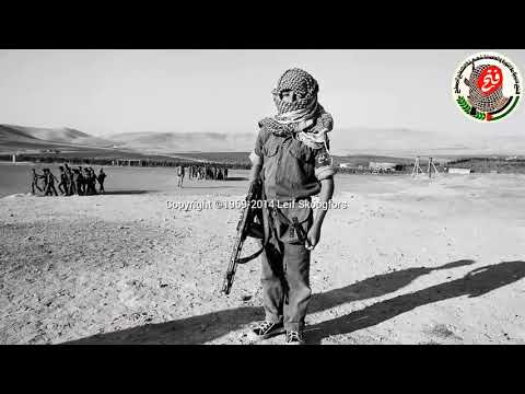 حين يصح البروقي من اغاني الثورة الفلسطينية قديمة