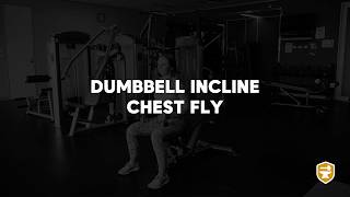 Dumbbell Incline Chest Fly