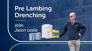 Insights on Pre Lamb Drenching in Pregnant Ewes