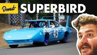 Superbird+Daytona  Everything You Need to Know | Up to Speed