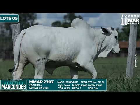 LOTE 05   MMAR 2707