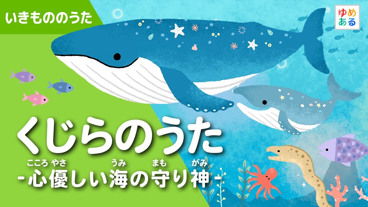 Whale Song - The Kind-hearted Guardian of the Sea - YouTube