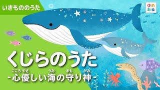 Whale Song - The Kind-hearted Guardian of the Sea - YouTube