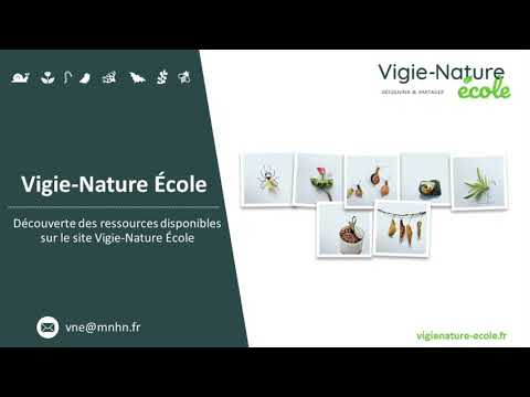 Présentation des ressources disponibles sur le site Vigie-Nature École