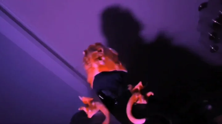"COLD BREW: GENESIS" Directed by Benjamin James Wi...