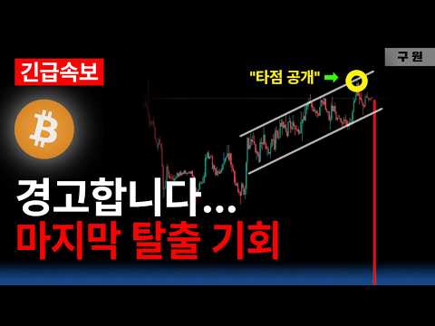 비트코인 실시간 최고점 나왔다!? 탈출해야 살 수 있다...