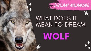 MEANING OF DREAM WOLF : Interpretation &amp; Symbolism