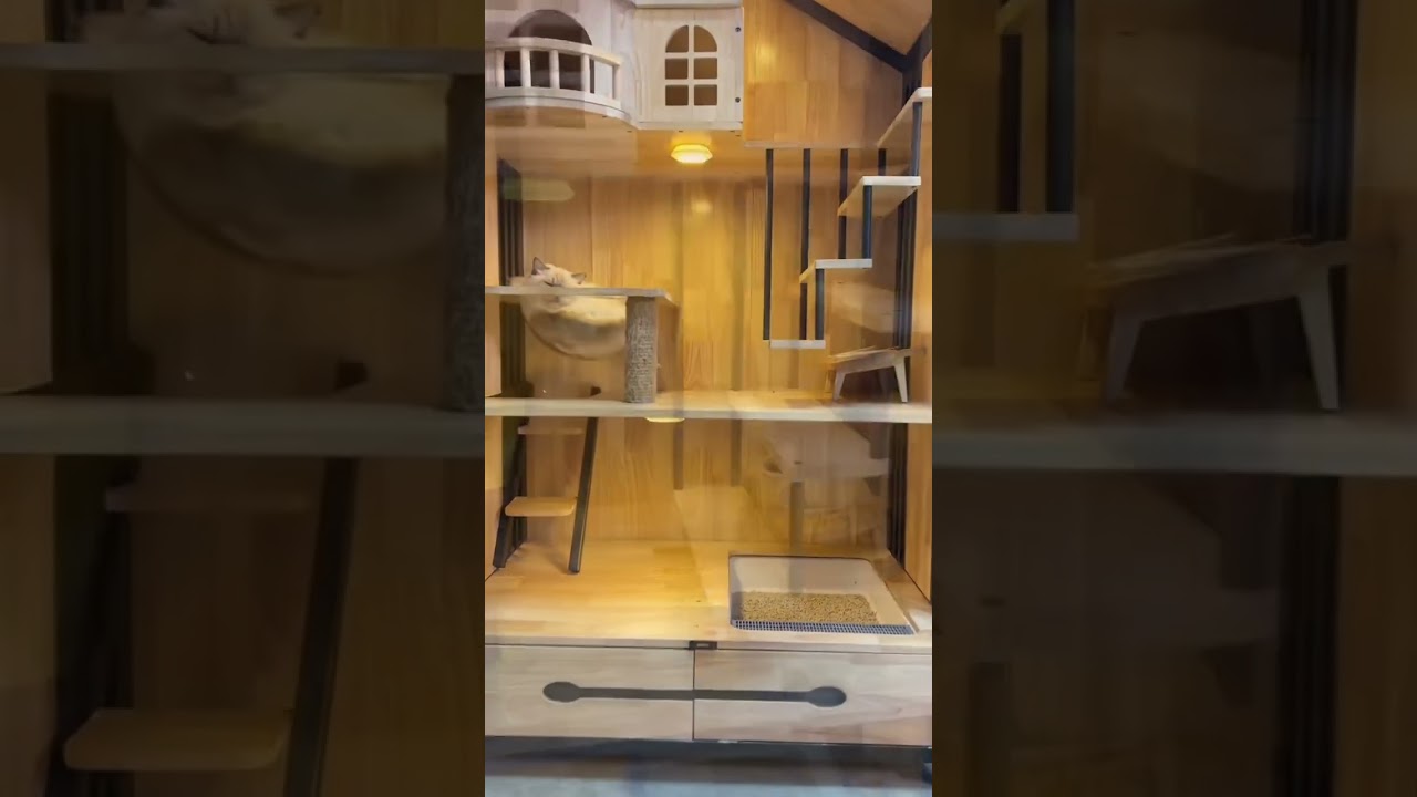 Solid Wood Cat Villa 