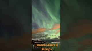 Fenomena Aurora terjadi pada musim dingin di daerah utara Norwegia #aurora #norwegian #sky #winter