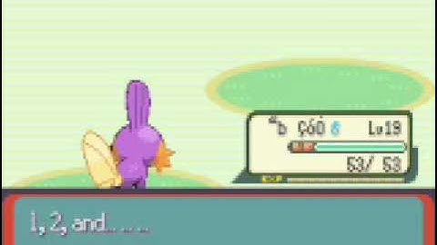 Pokemon Emerald cheat code/hack for leveling