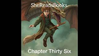 Harry Potter and the Goblet of Fire Chapter Thirty Six | Audiobook