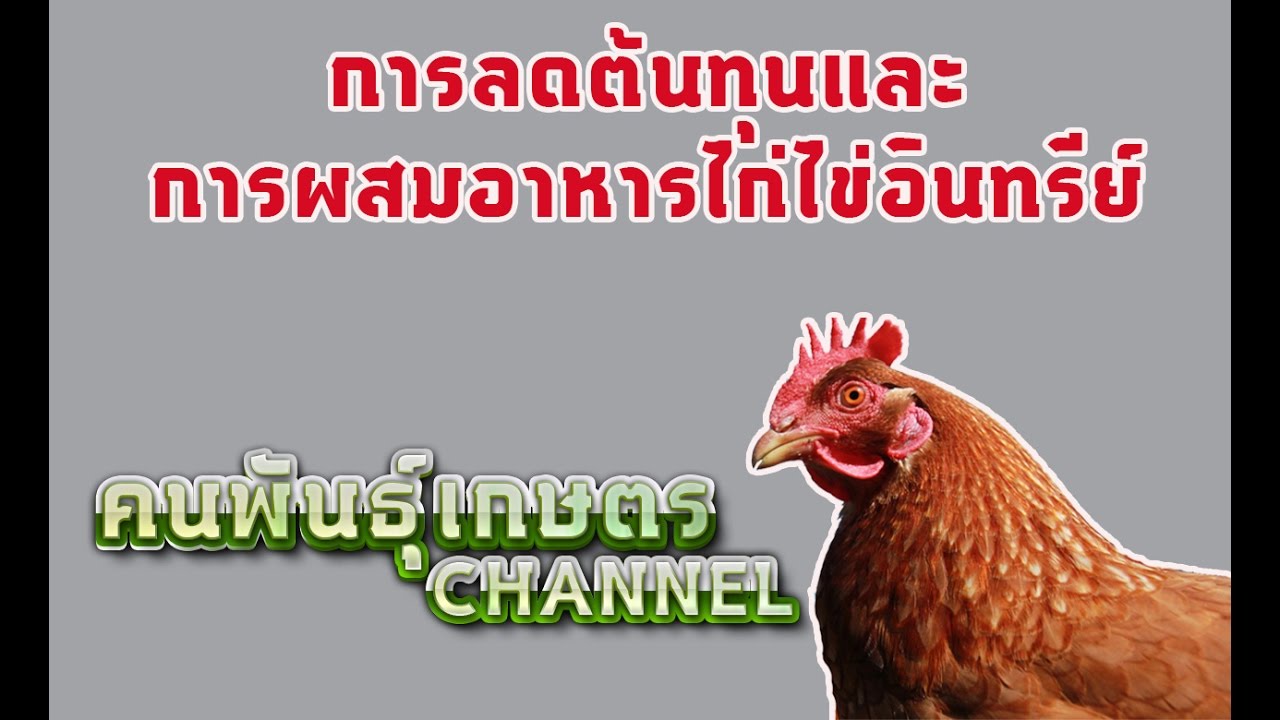 ต้นทุน ผสม  New Update  ตอนที่ 3 การลดต้นทุนและการผสมอาหารไก่ไข่อินทรีย์ by.ทีมงานไก่ไข่สาวภาคใต้