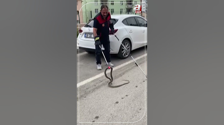 Gümüşhane'de Otomobilin Tekerleğine Giren Yılanı İtfaiye Ekipleri Çıkardı #shorts