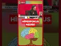Hiperfokus nedir? #shorts #bilim #keşfet
