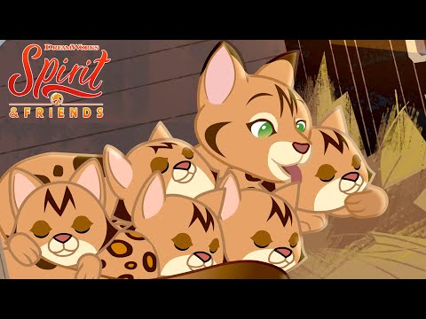 🐱 Kittens, Kittens