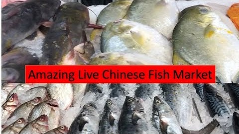 Fish Market in America|| Chinese Super Market || আমেরিকাতে মাছের বাজার