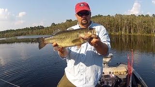 Fishing for Beginners - How to Hold a Bass 