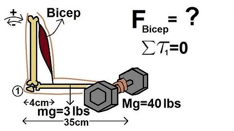 Physics 15  Torque Example 5 (5 of 7) The Bicep