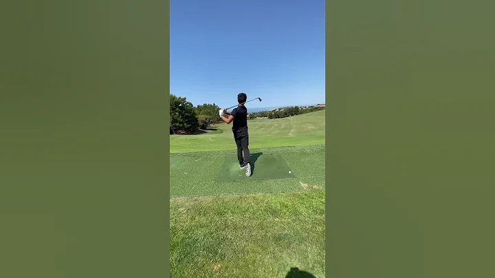 Alfred Chow Golf Swing USD