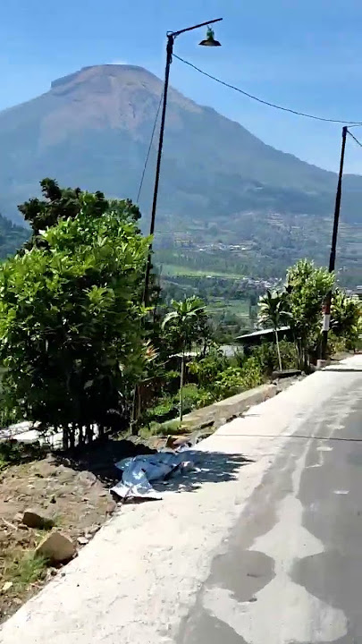 Jalan terindah menuju telaga menjer #shorts #dieng #wonosobo #view