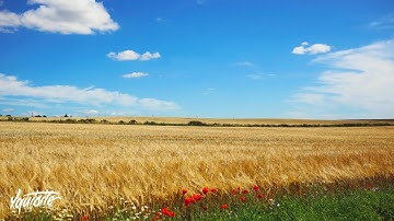 Module Module - An Interlude