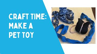 Make A Pet Toy Craft Activity