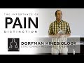 The importance of pain distinction by brian dorfman  yoga therapy training