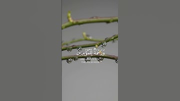 وننزل من القران ما هو شفاء| سورة الإسراء| القارئ فارس عباد|