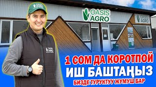 картинка: Ох-Хоо! Бизнеске СОНУН мүмкүнчүлүк ~ Жумуш издегендер ВИДЕОНУ көрүңүздөр!