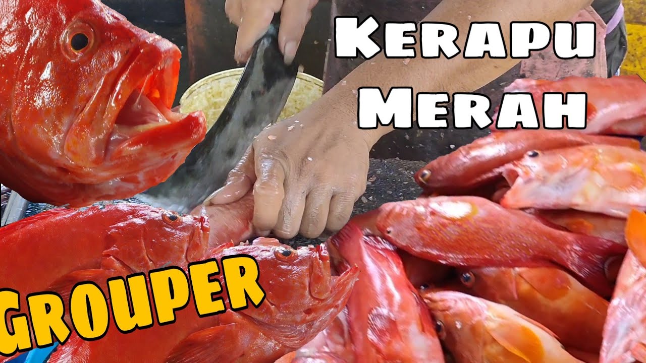Ikan Kerapu Merah Red Grouper Fish Cutting In Traditional Market Youtube