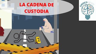 LA CADENA DE CUSTODIA