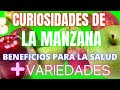 Mas variedades curiosidades de la manzana beneficios para la salud 17 de enero 2022 mas variedades