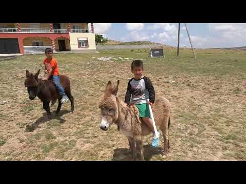 Mirkelam &islam .eşek sürüşü😊