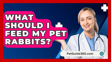 What Should I Feed My Pet Rabbits? - PetGuide360.com